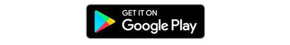 Google store logo