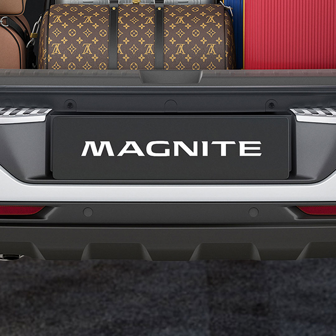 TAILGATE ENTRY GUARD