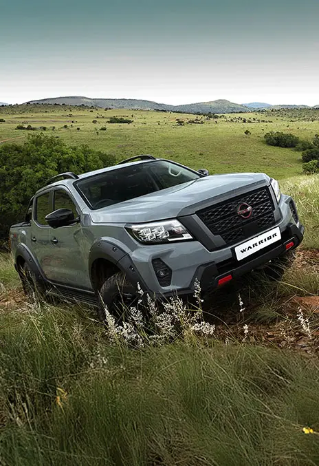 Dominating Front Grille