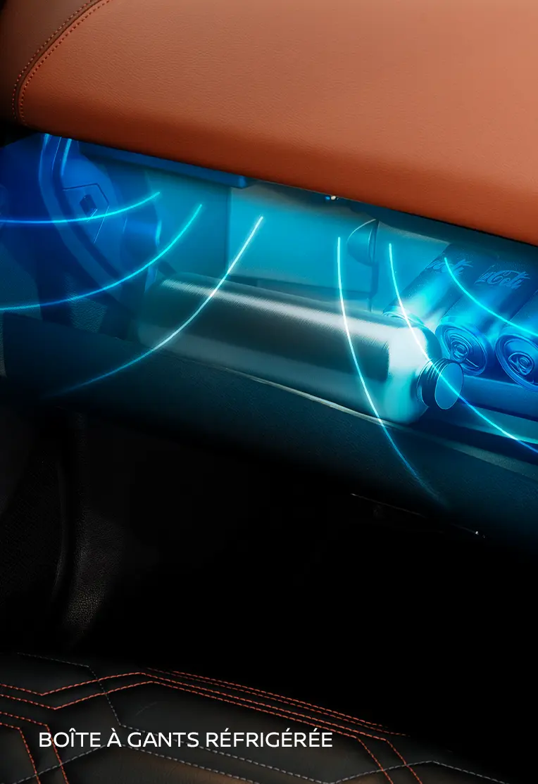 Dominating Front Grille