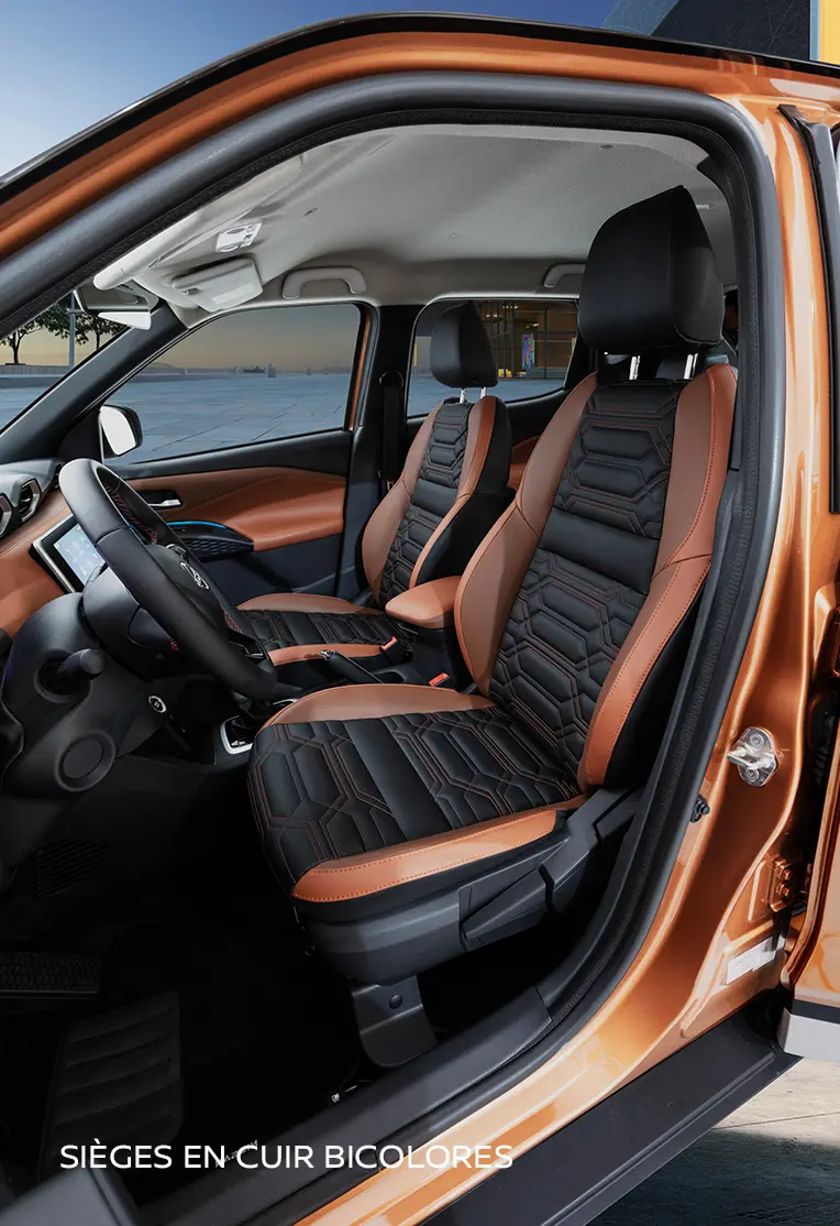 Dominating Front Grille